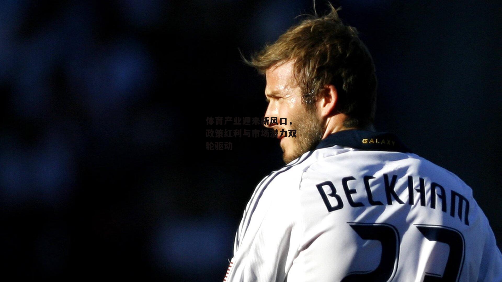 体育产业迎来新风口,政策红利与市场潜力双轮驱动